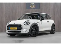 Mini Mini 1.2 One Pepper PANO CRUISE STOELVERWARMING LED