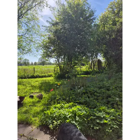 Woning aan de Zutphensestraat te Brummen