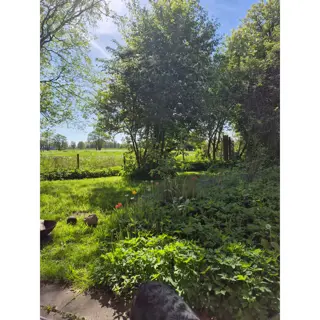 Woning aan de Zutphensestraat te Brummen