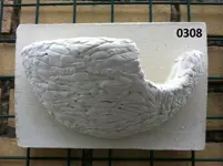 Vogel nest voor Zwaluwen.