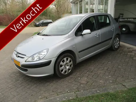 Peugeot 307 1.6-16V XS 5 deurs! (bj 2003)