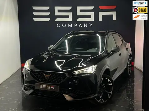 Cupra Formentor 1.5 TSI Business Memory Sfeerve Camera