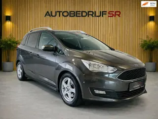 Ford Grand C-Max 1.0 Titanium 7p. Navi! Airco! Cruise Controle! Vol opties!