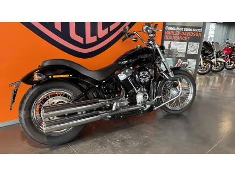 Harley-Davidson Chopper softail standard (bj 2021)