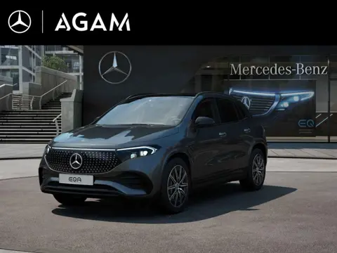 Mercedes-Benz EQA 250+ Business Solution AMG 71 kWh Panorama dak