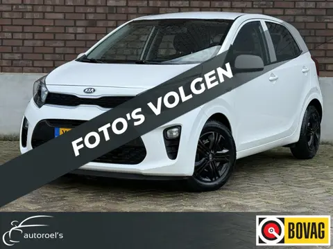 Kia Picanto 1.0 DPi / NIEUW ONDERHOUD / Cruise Control / Airco / Bluetooth / C.V. met Afstandsbedien
