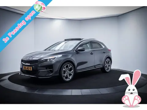 Kia Xceed 1.6T 204Pk EXECUTIVE EDITION PANO | MEMORY | JBL AUDIO | LEDER | CAMERA | STUUR+STOELVERW 