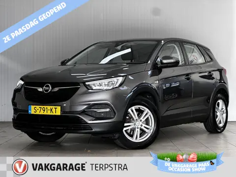 Opel Grandland X 1.2 Turbo Innovation/ Automaat!/ Trekhaak/ 17''LMV/ Camera/  Apple+Android/ DAB+/ C