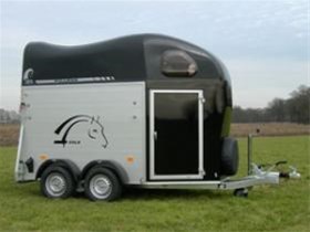 Cheval Libert� Gold 2