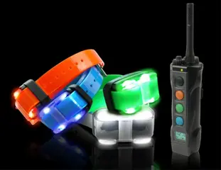 Dogtra 4500 EDGE - C.E. Goedgekeurd!