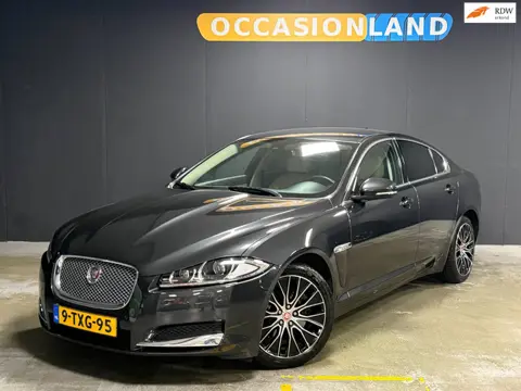 Jaguar XF 2.2D|CAMERA|KEYLESS|LEDER|STUURV|STOELV|BLUETOOTH|NAVI|SFEER|18INCH|