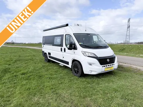 Fiat Ducato  Lions concept Germany