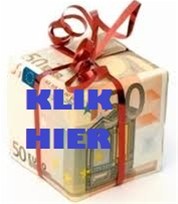 Rijk worden met PC en internet