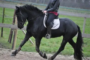 Prachtige Friese Ruin