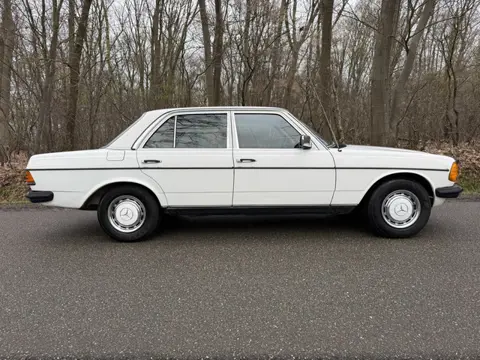 Mercedes-Benz 200-280 (W123) 250 (bj 1976)
