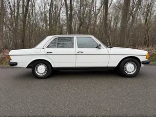Mercedes-Benz 200-280 (W123) 250 (bj 1976)