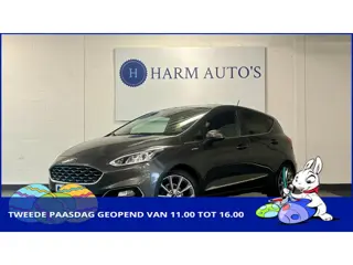 Ford Fiesta 1.0 EcoBoost Vignale Navi / CAM / PDC / Cruise / Clima / LED