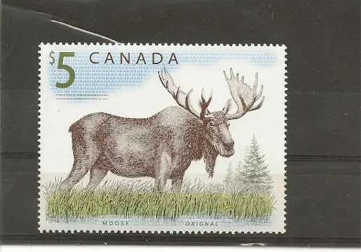 Eland uit Canada