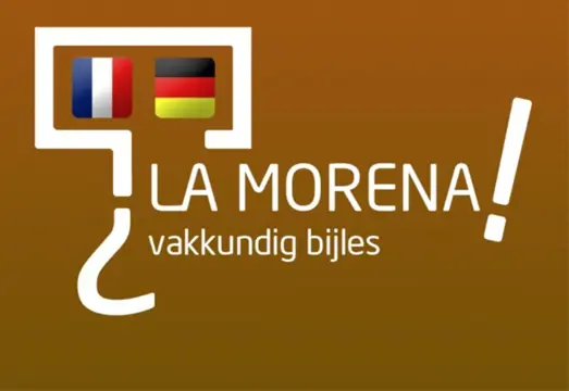 Bijles Frans of Duits