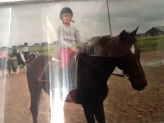 Verzorgster bijrijdster aangeboden Zoetermeer