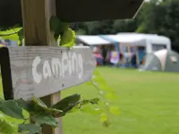 Ontwaken met geluiden van de natuur op deze camping bij De Cocksdorp