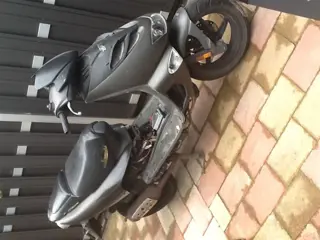 Schadebrommer aprilla