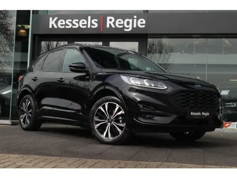 Ford Kuga 2.5 PHEV ST-Line Pano HuD ACC Camera Bliss CarPlay Stuur/Stoelverwarming