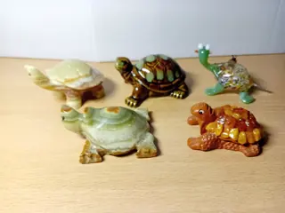 Serie van 5 verschillende schildpadden
