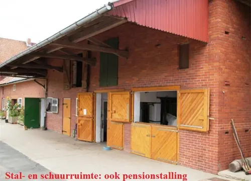 Paardenobject, rijhal, 35 boxen, landerijen, 2e hal