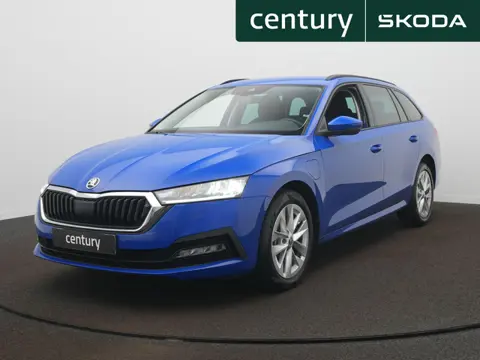 Skoda Octavia 1.4 TSI iV PHEV Business Edition l Cruise  l Camera l Sfeerverlichting l Stuur/stoel v