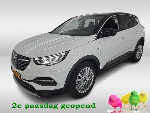 Opel Grandland X 1.2 Turbo Innovation 1e-Eig. & Dealer-Onderh. BOVAG-Garantie. NL-Auto.