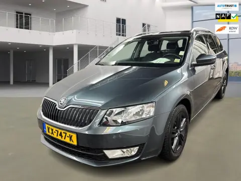 Skoda Octavia Combi 1.0 TSI Greentech Ambition Business / NL PRIJS 12401