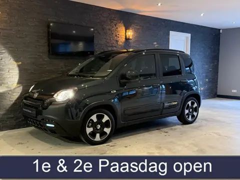 Fiat Panda 1.0 Hybrid / Pandina Bj: 2025 (bj 2025)