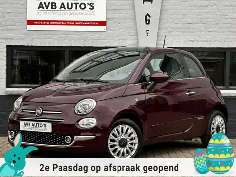 Fiat 500 1.2 Lounge Clima Cruise Panoramadak PDC