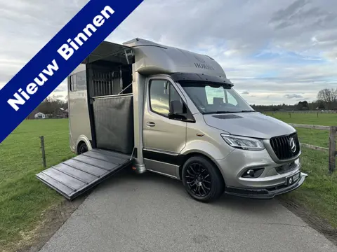 Mercedes-Benz Sprinter 315 AMG 2-paards paardenvrachtwagen B-rijbewijs