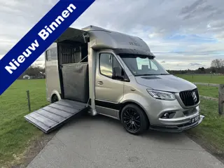 Mercedes-Benz Sprinter 315 AMG 2-paards paardenvrachtwagen B-rijbewijs