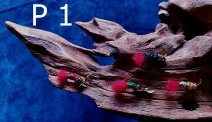 Diverse verschillende sets Forel-Ruisvoorn-Baars Propellervliegen