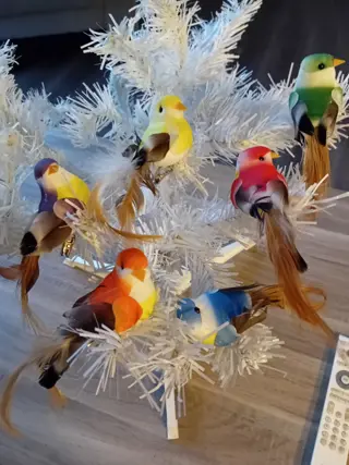 6 decoratieve vogeltjes met veren