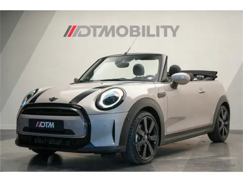 MINI Cabrio 1.5 Cooper | H/K | HuD | Camera (bj 2023)