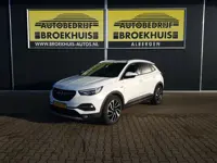 Opel Grandland X 1.2 Turbo Business Executive (bj 2019)
