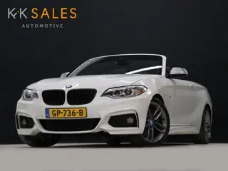 BMW 2 Serie Cabrio 220i High Executive M Sport [MEMORY SEATS, CRUISE CONTROL, BLUETOOTH TELEFOON, AC