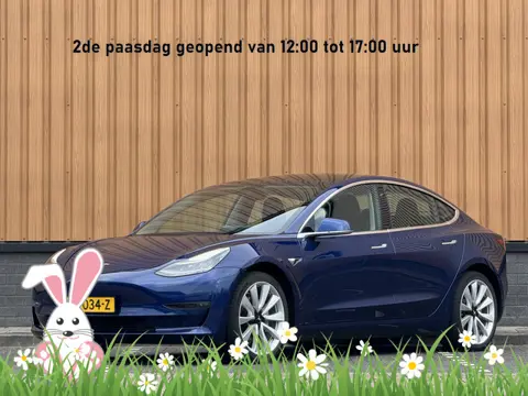 Tesla Model 3 Standard RWD Plus 60 kWh | 360° Camera | Panoramadak | Parkeersensoren | Keyless | Sto