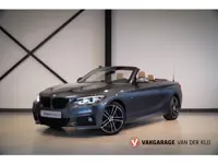 BMW 2-serie Cabrio 230i M-Sport | Navi Prof. | Adapt. LED | Camera | Trekhaak | Stoel/Stuurverw. | S