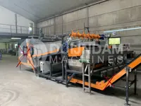 Fraxinus Codius Dema verwerkingssysteem Witlof plantlijn met  stortbak