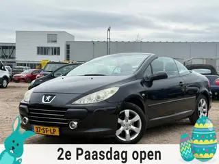 Peugeot 307 CC 2.0-16V/SCHERM/ONDERHOUDEN