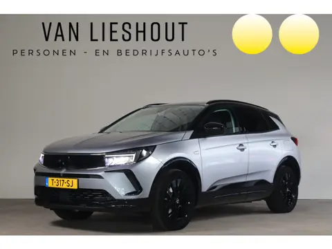 Opel Grandland 1.6 Turbo Plug-In Hybrid Level 4 - NL- Auto!! Camera I Stuurverw I Cruise adap -- Hem