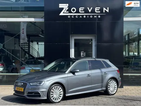 Audi A3 Sportback 1.4 e-tron PHEV Ambition Pro Line plus/ Automaat/ Pano/Navi/PDC