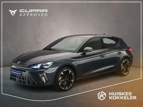CUPRA Leon Business 1.5 TSI eHybrid 204pk DSG Automaat Adaptive cruise control, Navigatie, Achteruit