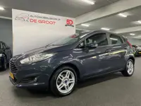 Ford Fiesta 1.0 EcoBoost Titanium / NL-auto, Cruise control, Navi, Bluetooth
