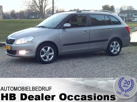 Škoda Fabia Combi 1.2 TDI Greenline - Airco (bj 2010)